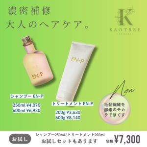ALORB EN-P｜酵素の力で髪と頭皮を整えるシステムトリートメント